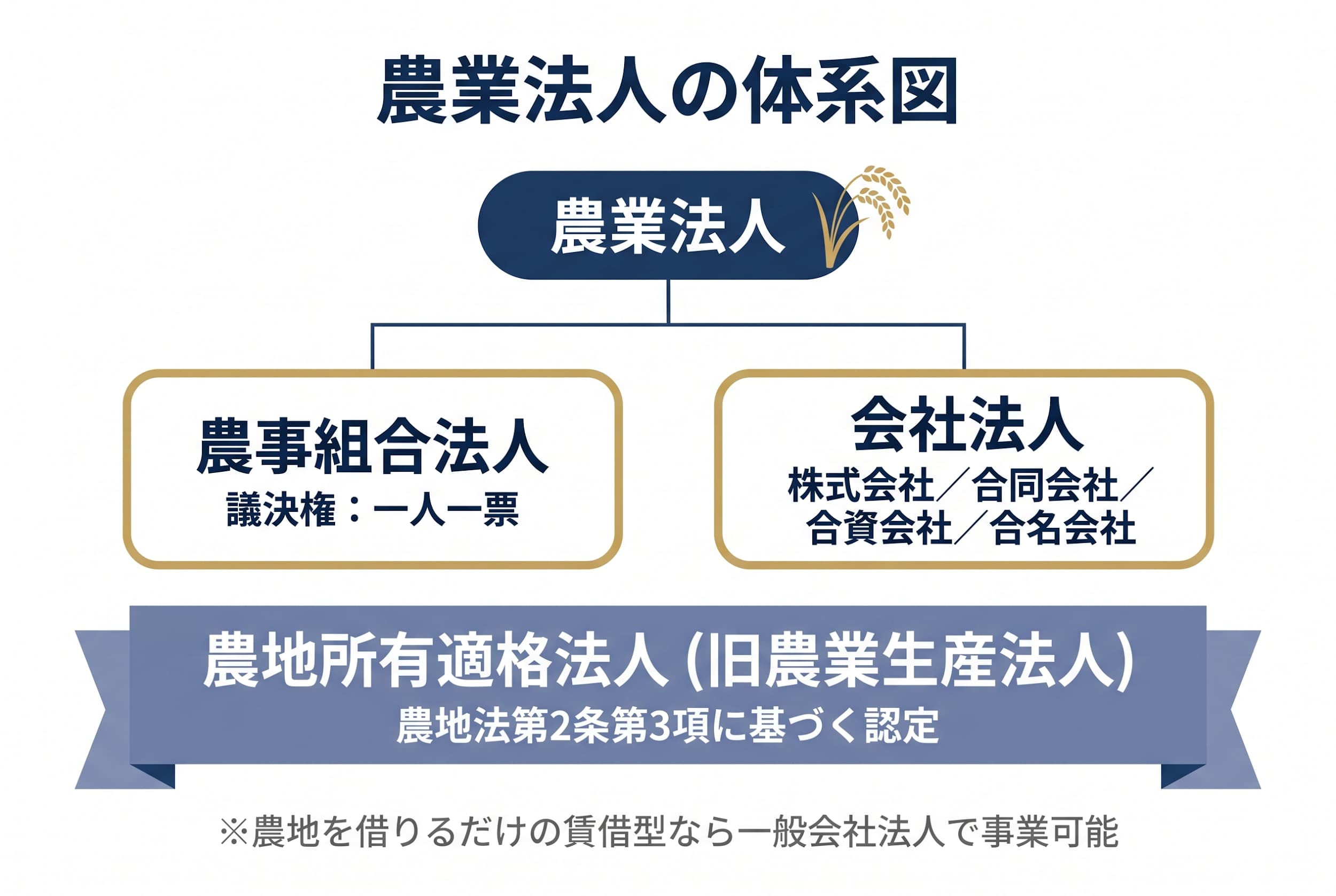 農業の法人化とは？個人農家との根本的な違い